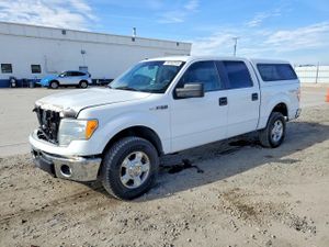Ford F-150 SUPERCREW 5.0L 8 2011