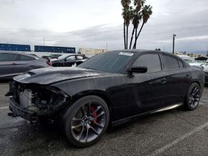 Dodge Charger SCAT PACK 6.4L 8 2023