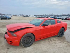 Ford Mustang 3.7L 6 2014