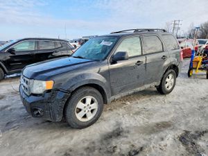 Ford Escape XLT 3.0L 6 2011