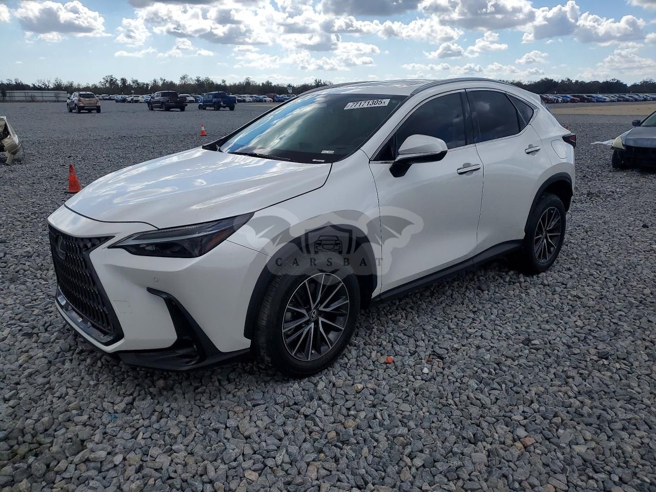Lexus NX 250 PREMIUM 2.5L 4 2024