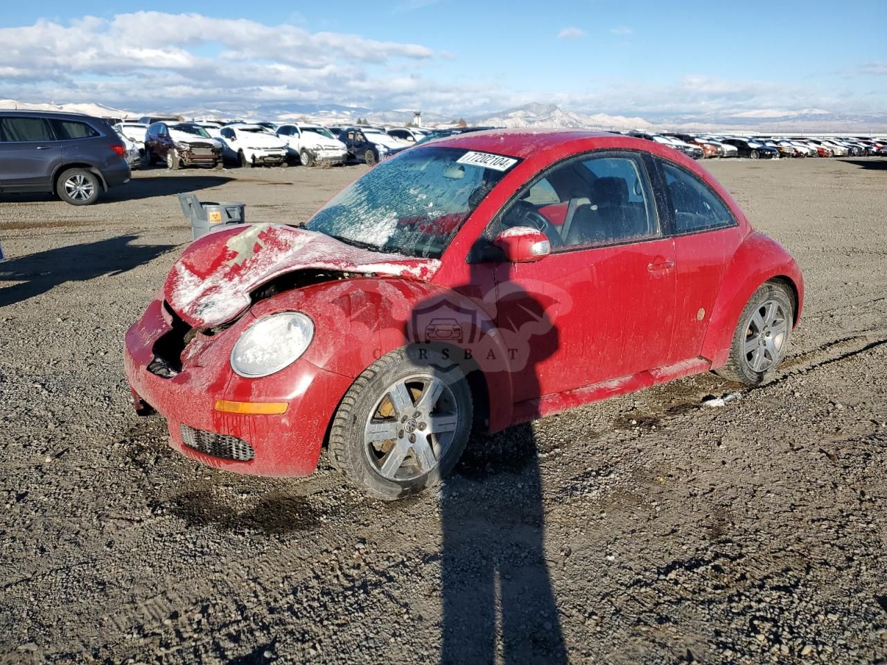 Volkswagen Beetle TDI 1.9L 4 2006