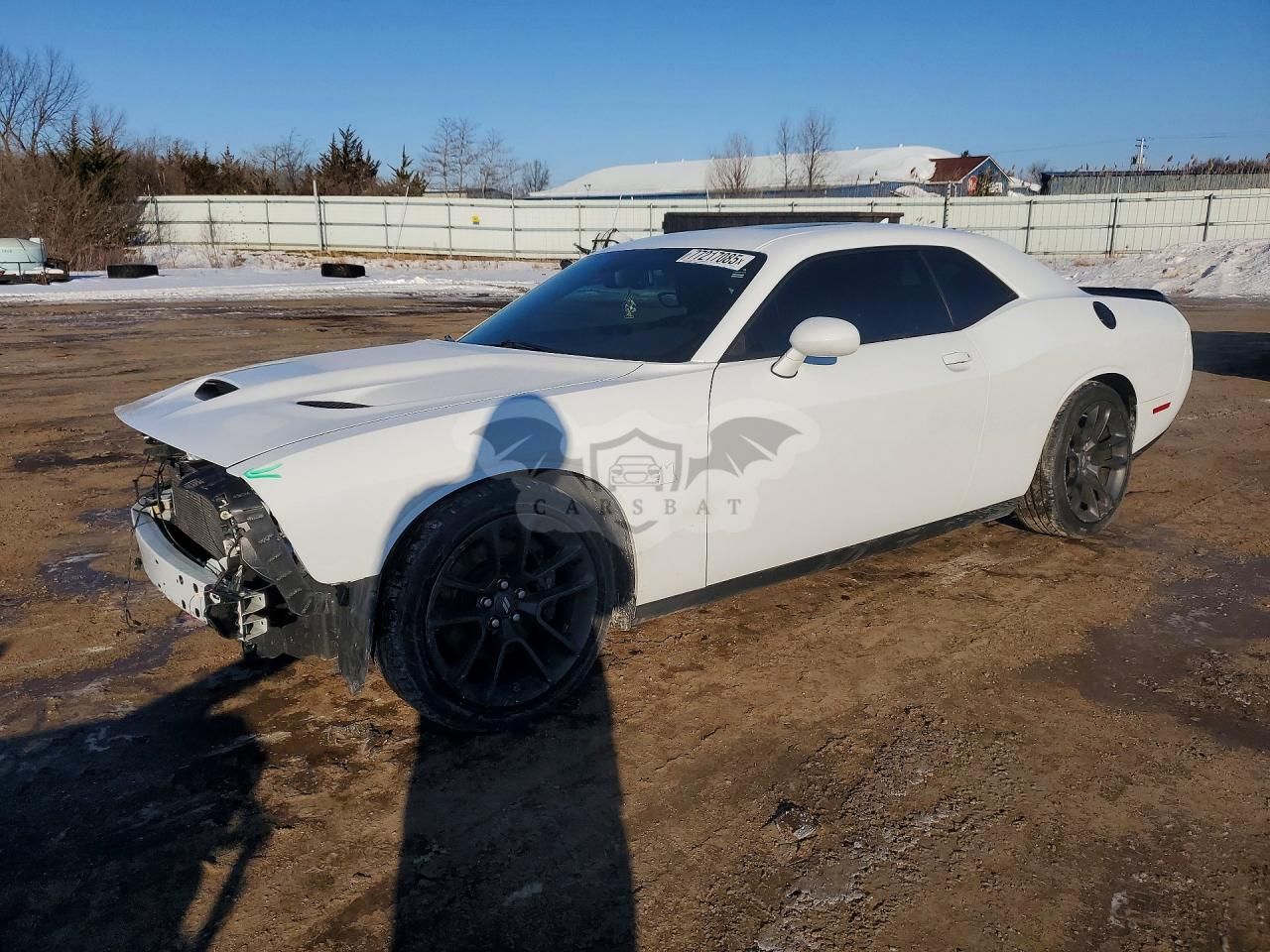 Dodge Challenger R/T SCAT PACK 6.4L 8 2021