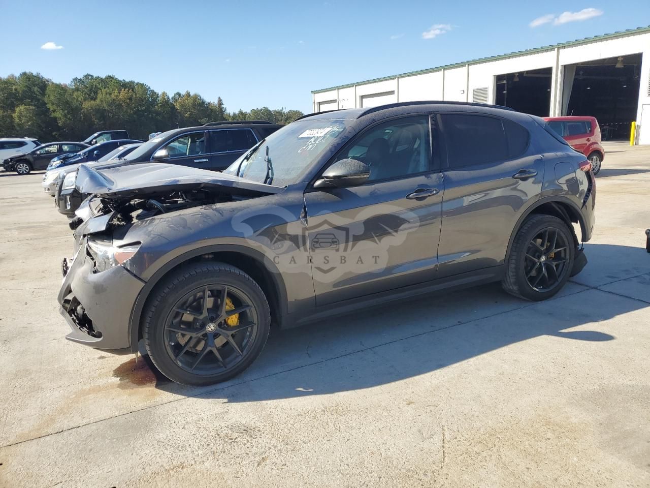 Alfa Romeo Stelvio 2.0L 4 2019