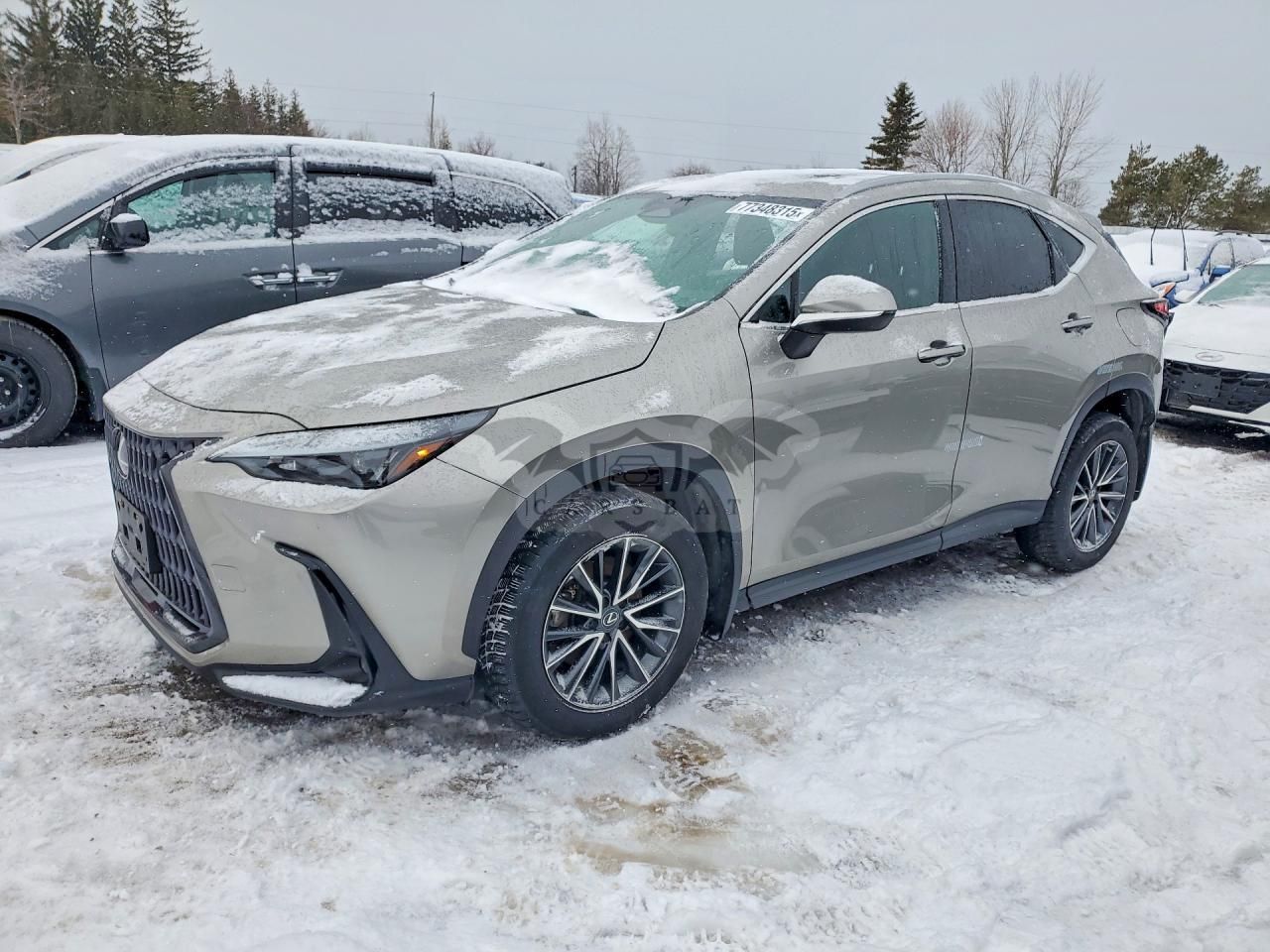 Lexus NX 2.5L 4 2023