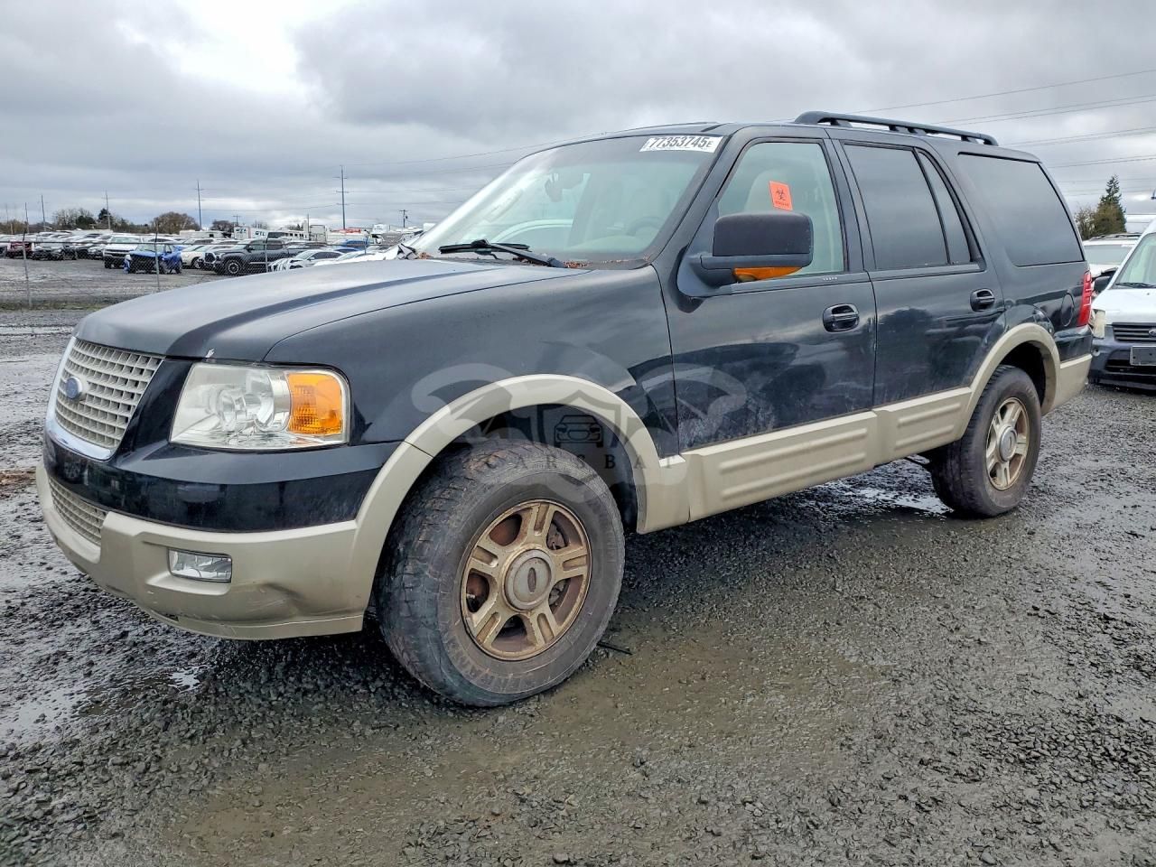 Ford Expedition EDDIE BAUER 5.4L 8 2006