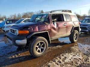 Toyota FJ Cruiser 4.0L 6 2007