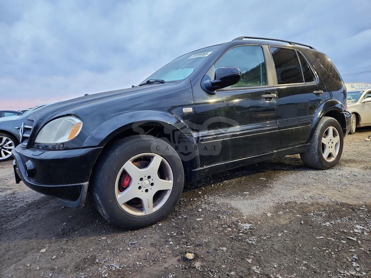 Mercedes-Benz ML 55 5.5L 8 2000