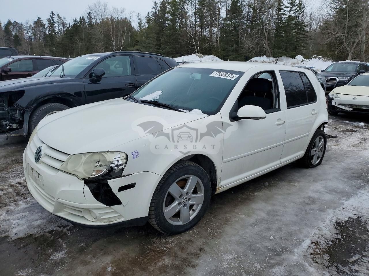 Volkswagen Golf 2.0L 4 2009
