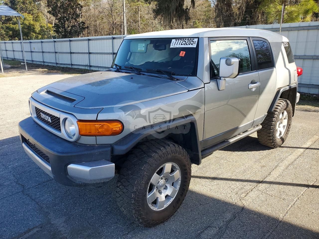Toyota FJ Cruiser 4.0L 6 2010