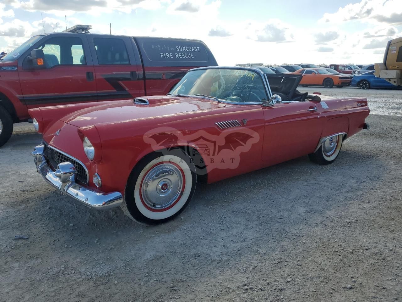 Ford Thunderbird 1955