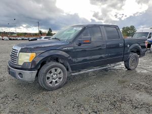 Ford F-150 SUPERCREW 4.6L 8 2010