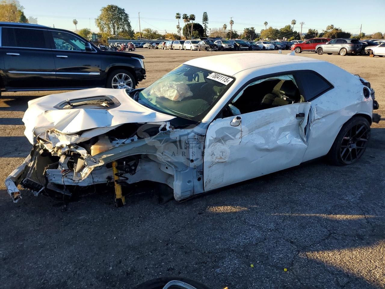 Dodge Challenger 6.4L 8 2019