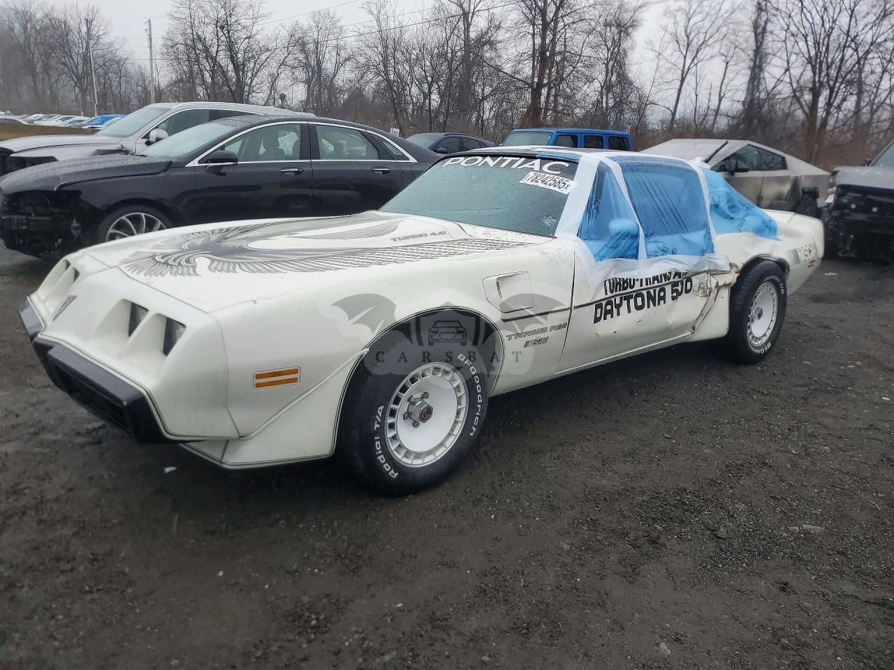 Pontiac Firebird SE 5.0L 8 1981
