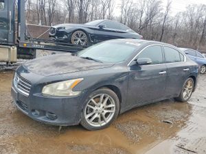 Nissan Maxima 3.5L 6 2010