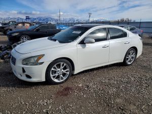 Nissan Maxima 3.5L 6 2012