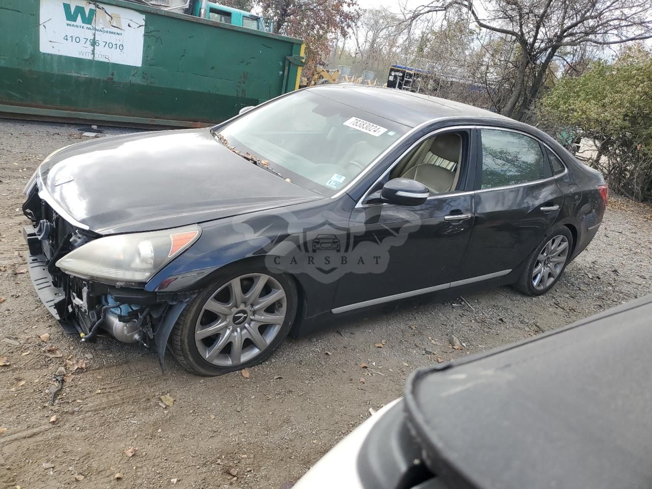 Hyundai Equus SIGNATURE 4.6L 8 2011