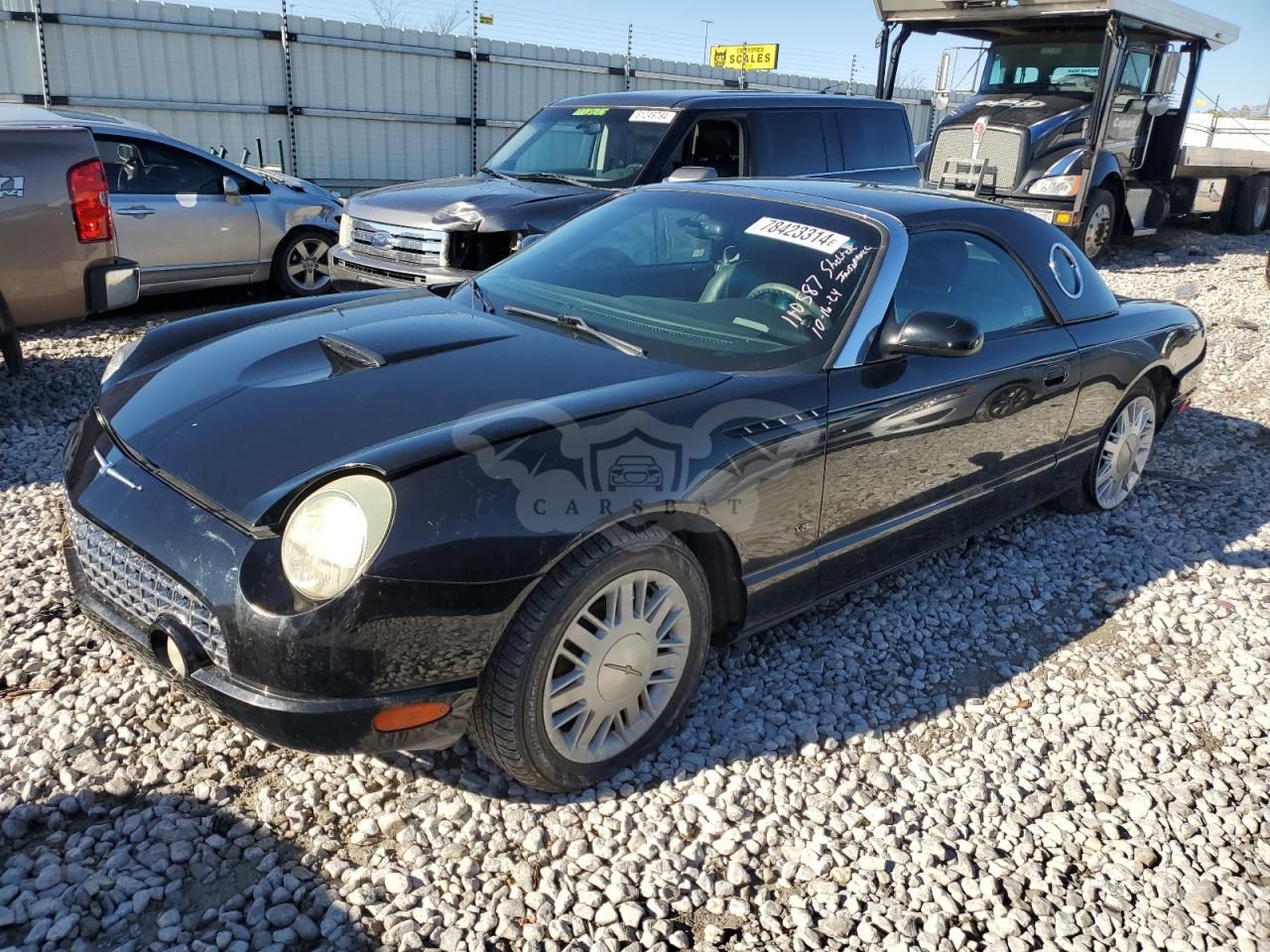 Ford Thunderbird 3.9L 8 2003