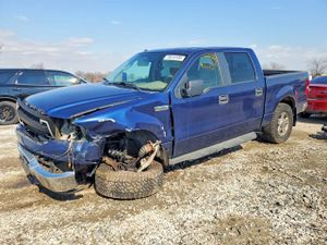 Ford F-150 4.6L 8 2007