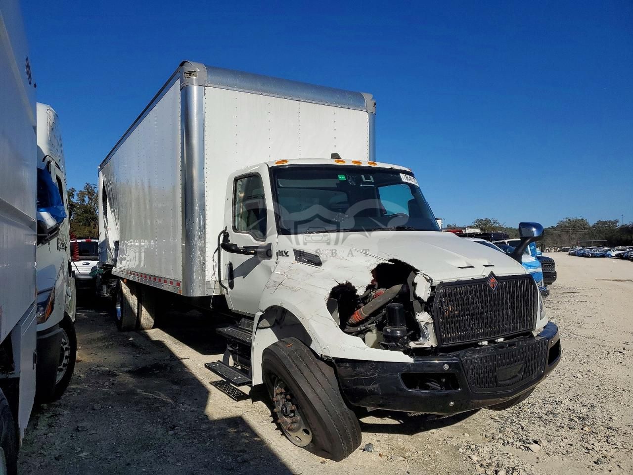 International MV Series 6.7L 6 2024