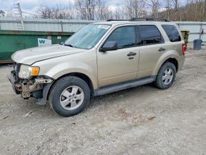 Ford Escape 3.0L 6 2012