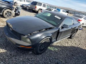 Ford Mustang 4.0L 6 2008