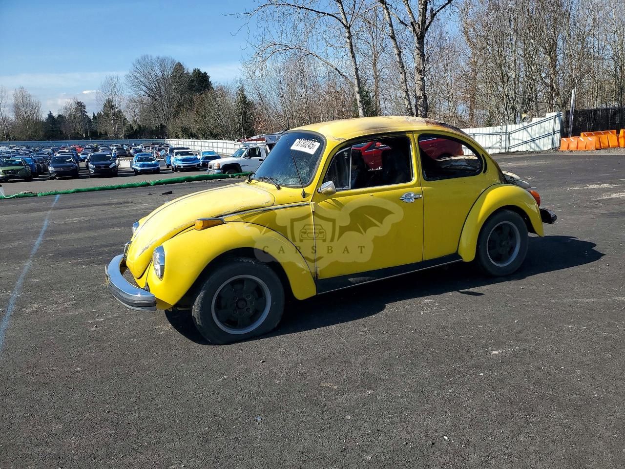 Volkswagen Beetle 1974