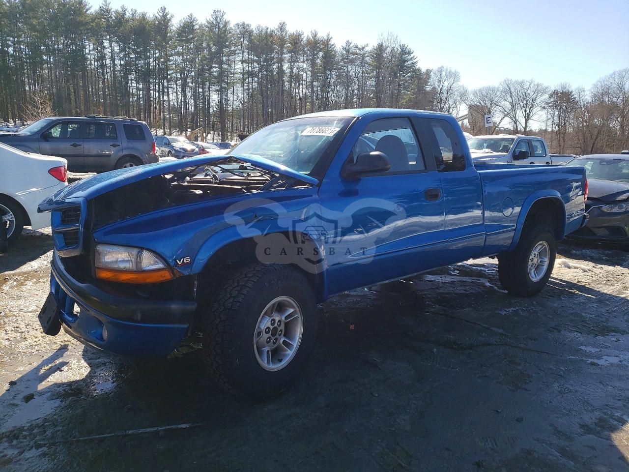 Dodge Dakota 3.9L 6 1999