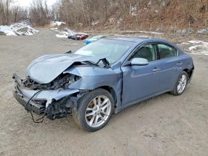 Nissan Maxima 3.5L 6 2011