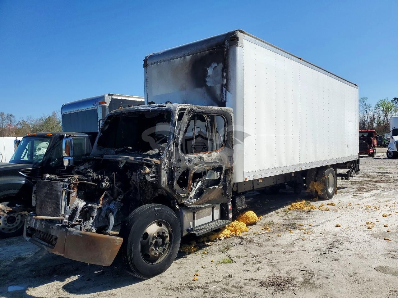 Freightliner Business Class M2 6.7L 6 2011
