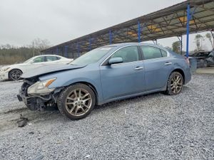 Nissan Maxima 3.5L 6 2011