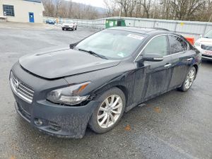 Nissan Maxima 3.5L 6 2011