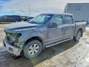 Ford F-150 5.0L 8 2015