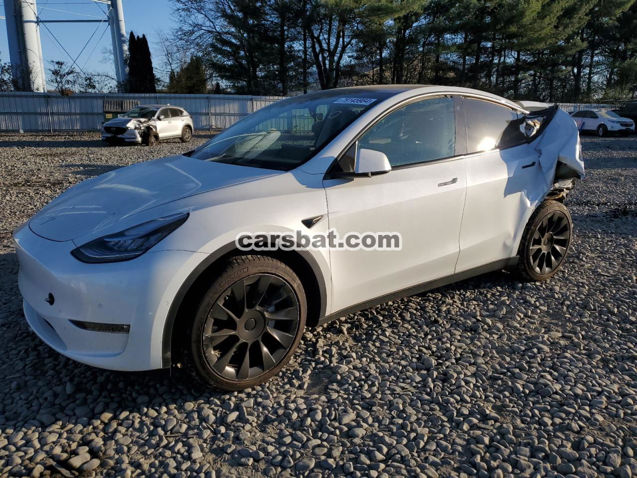 Tesla Model Y 2021