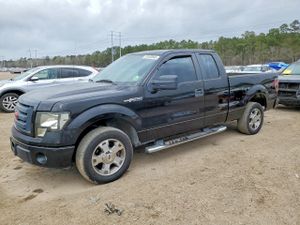 Ford F-150 4.6L 8 2009