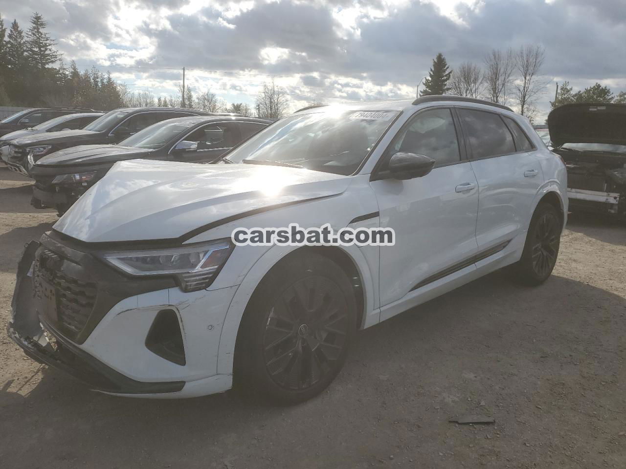 Audi Q8 e-tron 2024