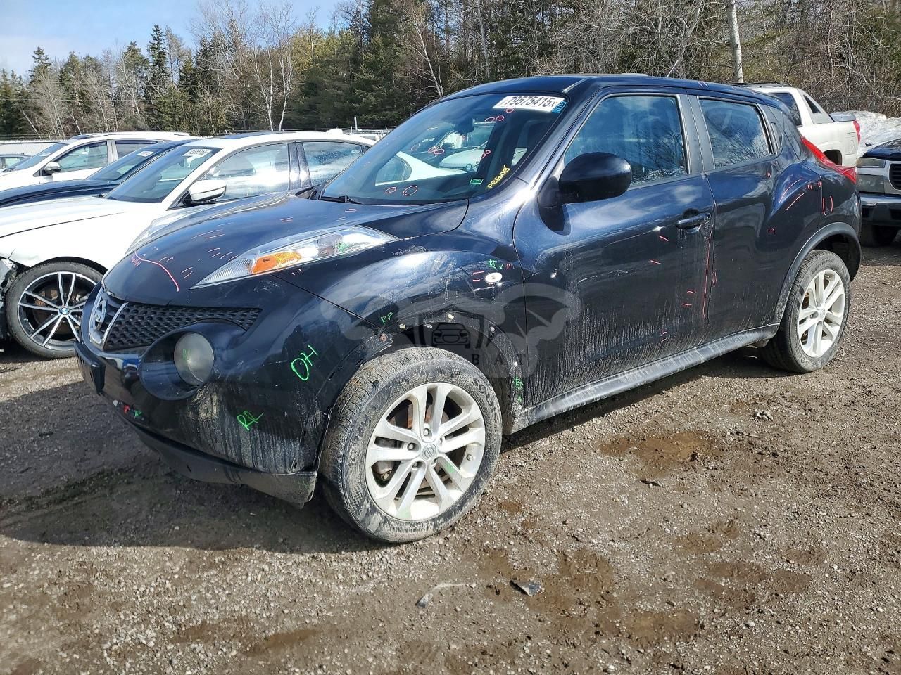 Nissan Juke 1.6L 4 2013
