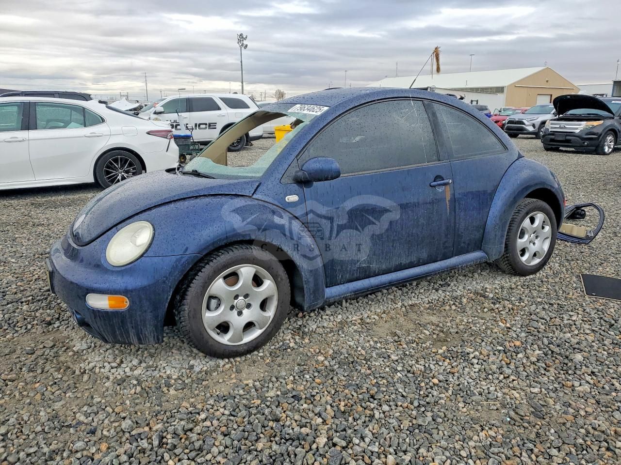 Volkswagen Beetle 1.9L 4 2003