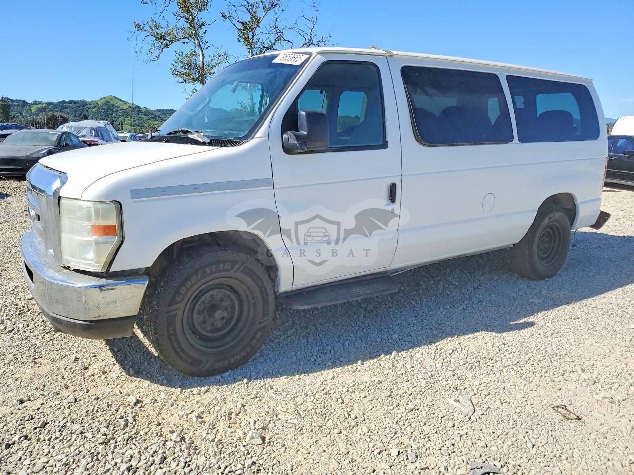 Ford Econoline 4.6L 8 2013