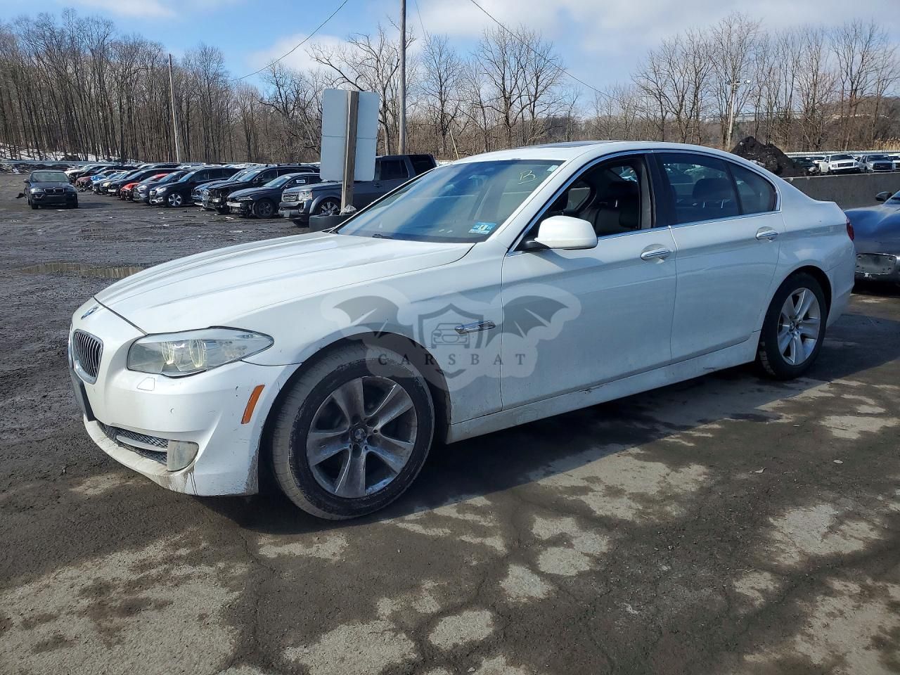 BMW 5 Series 2.0L 4 2013