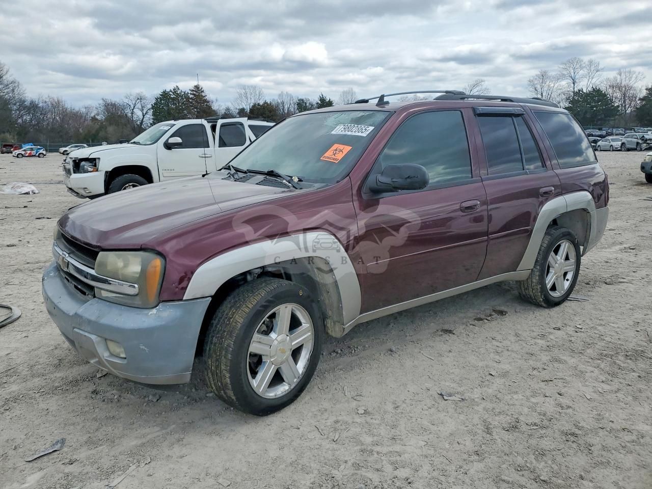Chevrolet Trailblazer 4.2L 6 2007