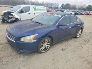 Nissan Maxima 3.5L 6 2010