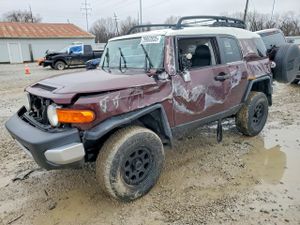Toyota FJ Cruiser 4.0L 6 2007
