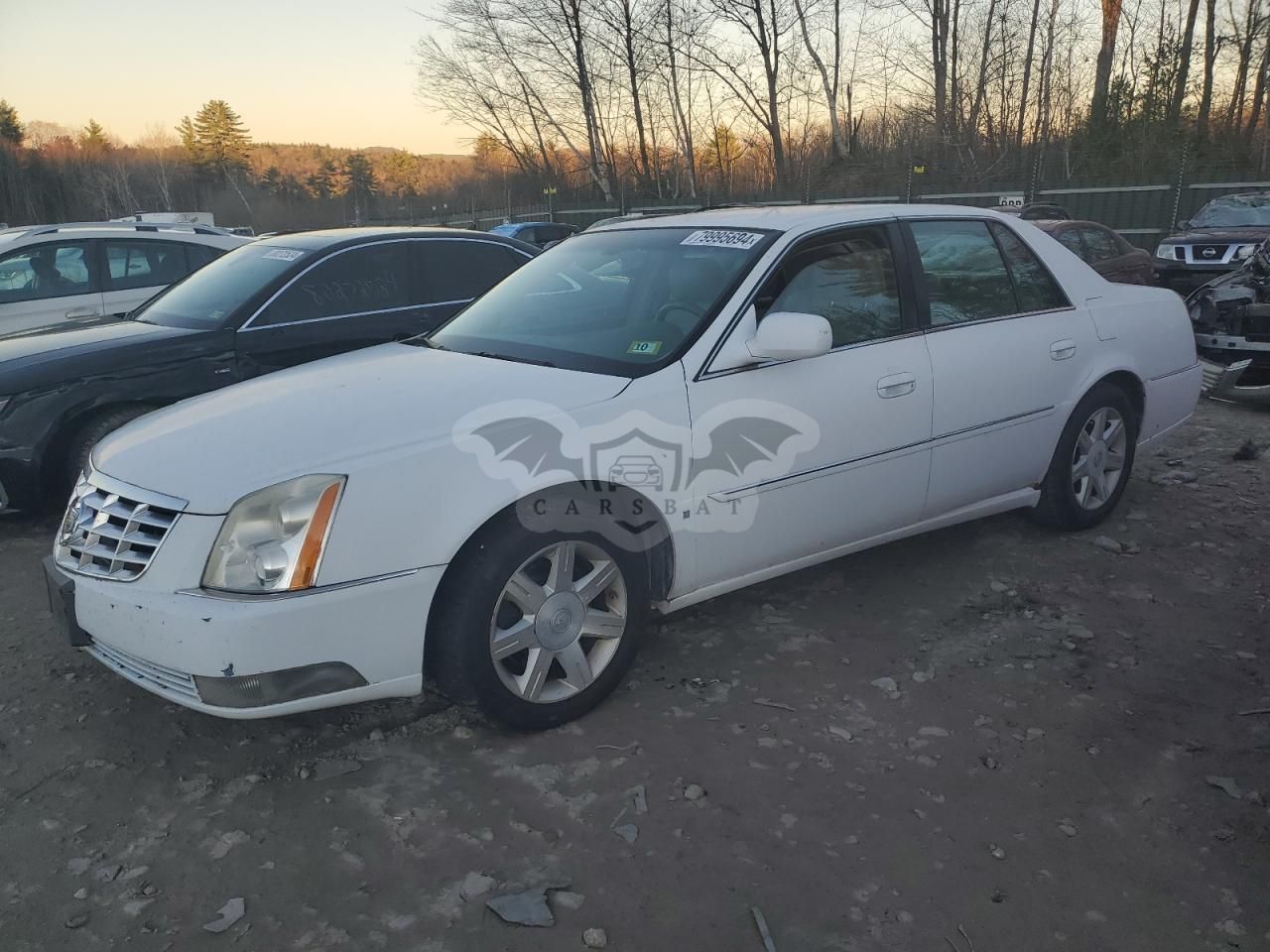 Cadillac DTS 4.6L 8 2006