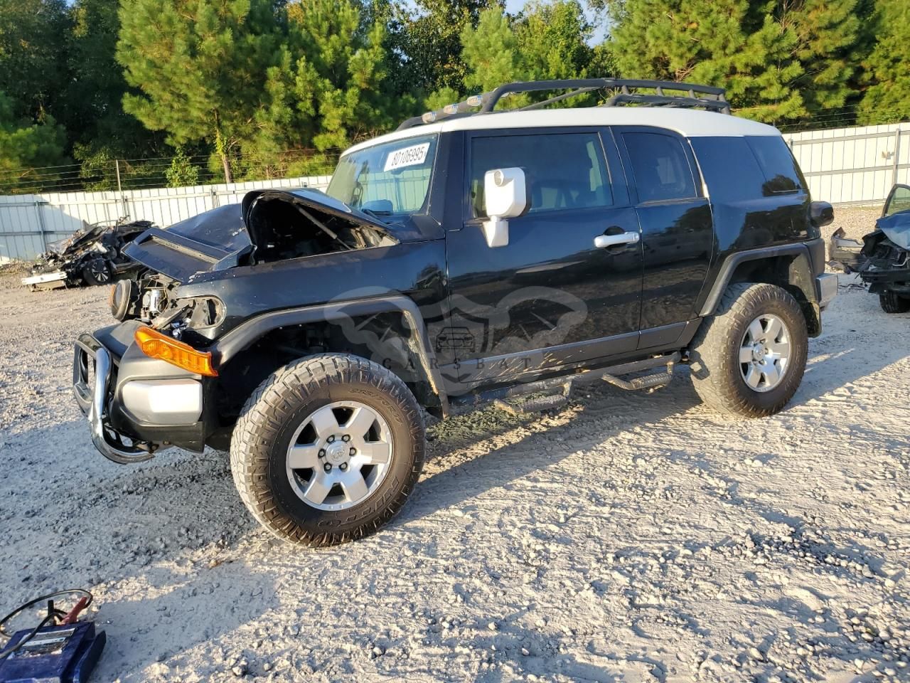 Toyota FJ Cruiser 4.0L 6 2010