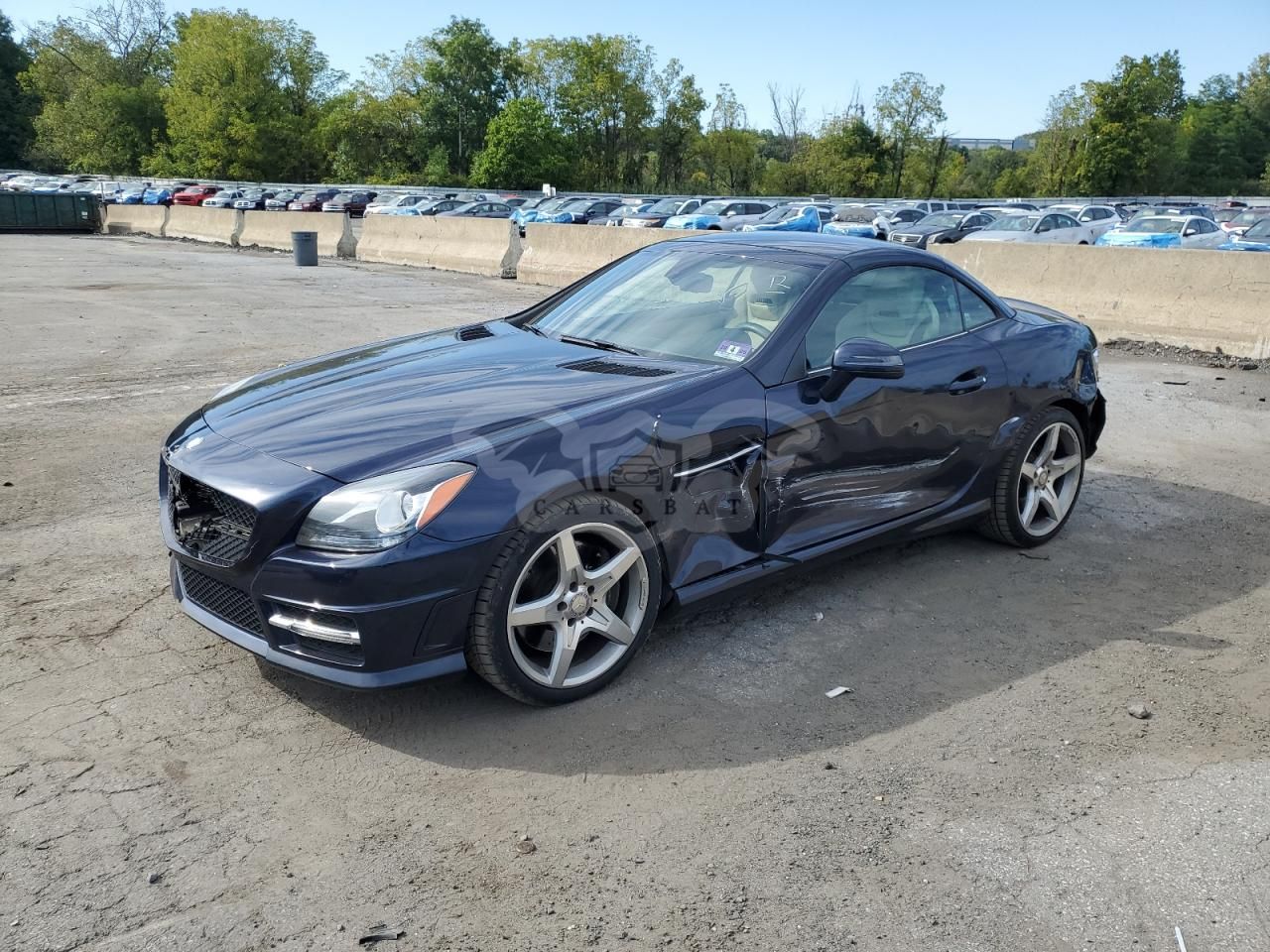 Mercedes-Benz SLK 250 1.8L 4 2012