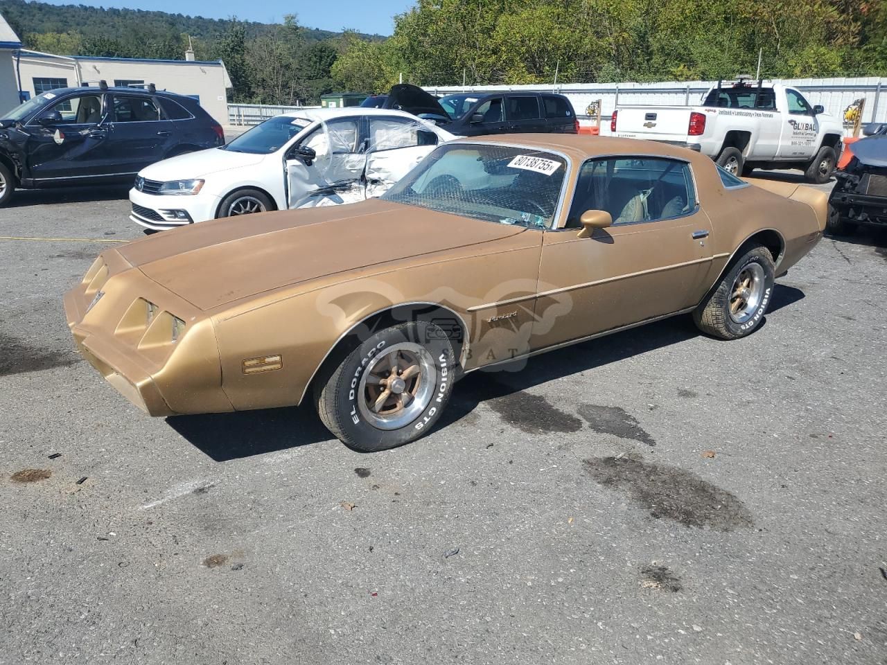 Pontiac Firebird 3.8L 6 1981