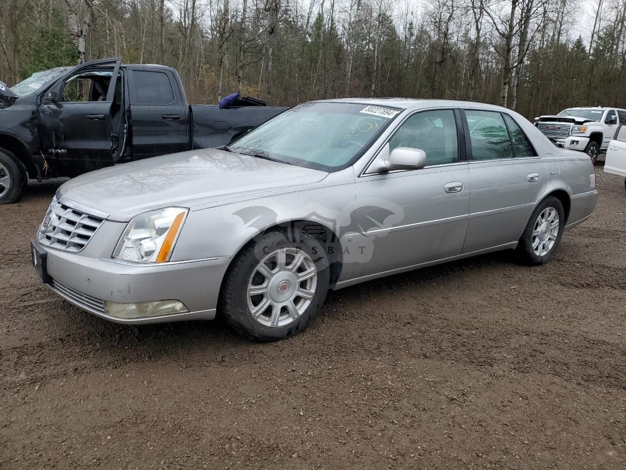 Cadillac DTS 4.6L 8 2008