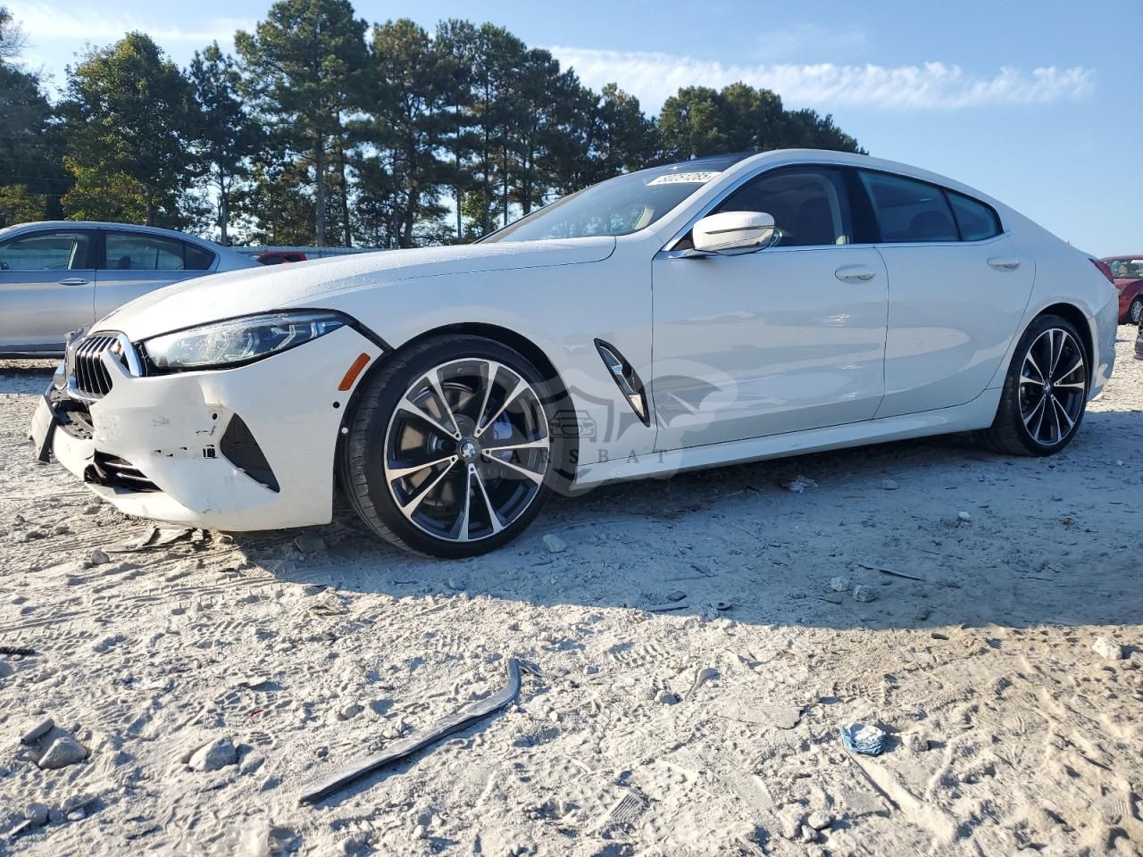 BMW 8 Series 3.0L 6 2020