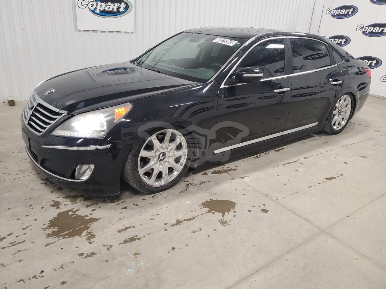 Hyundai Equus SIGNATURE 5.0L 8 2012